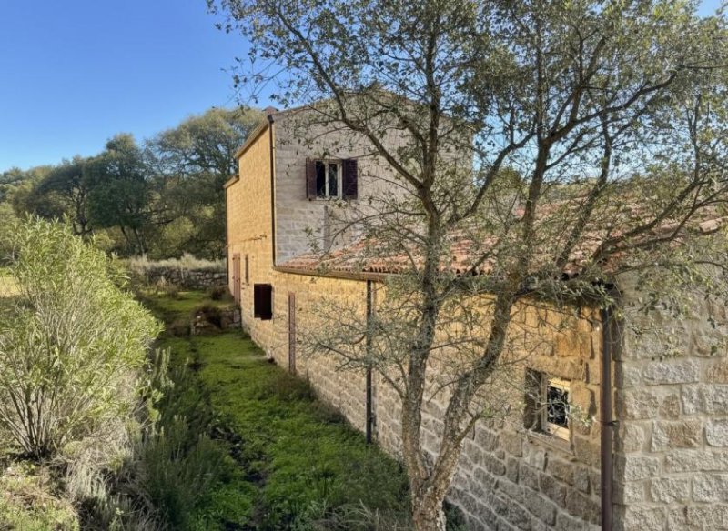 Tempio Pausania Absolute Ruhe, 13 Hektar, 4000 Korkeichen Haus kaufen