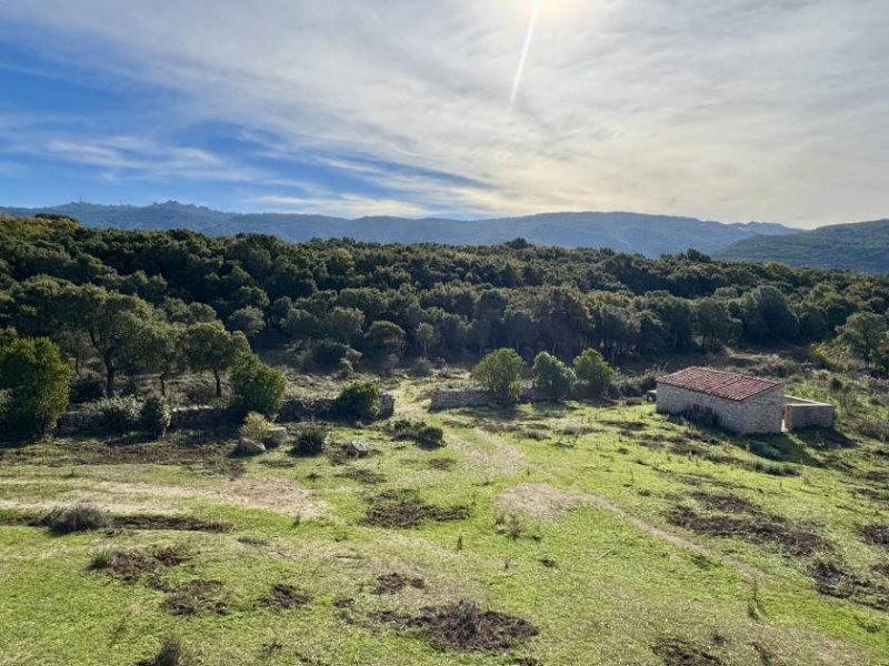 Tempio Pausania Absolute Ruhe, 13 Hektar, 4000 Korkeichen Haus kaufen