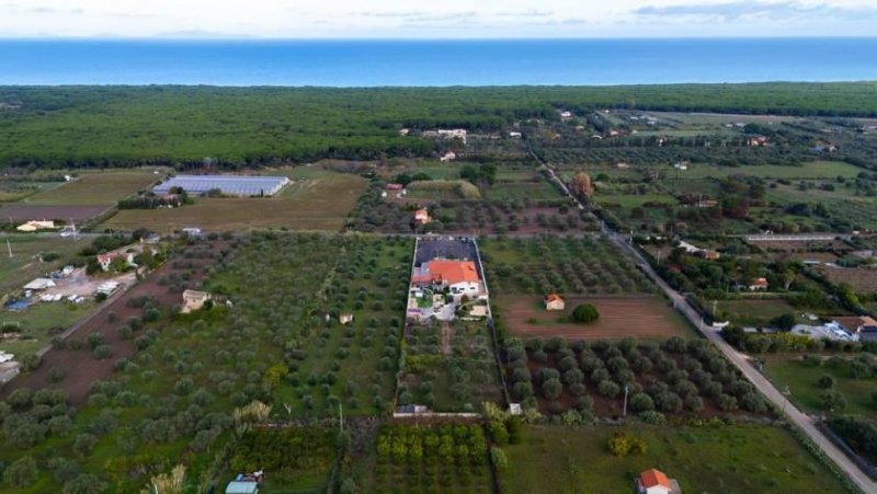 Marina di Sorso Ein Restaurant bei Marina di Sorso? Gewerbe kaufen