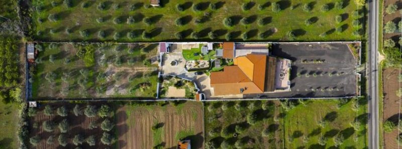 Marina di Sorso Ein Restaurant bei Marina di Sorso? Gewerbe kaufen