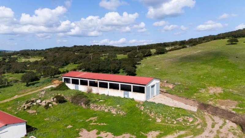 Alghero Großer Bauernhof mit 123 Hektar Land Haus kaufen