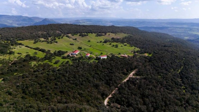 Alghero Großer Bauernhof mit 123 Hektar Land Haus kaufen