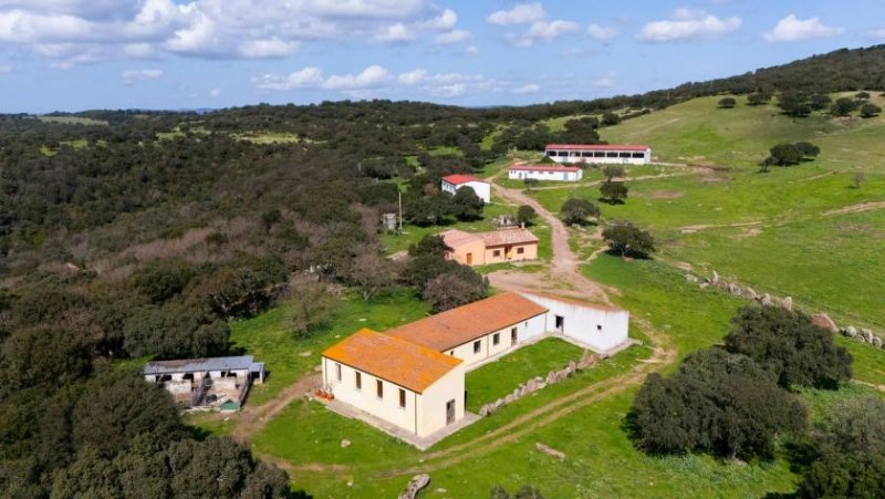 Alghero Großer Bauernhof mit 123 Hektar Land Haus kaufen