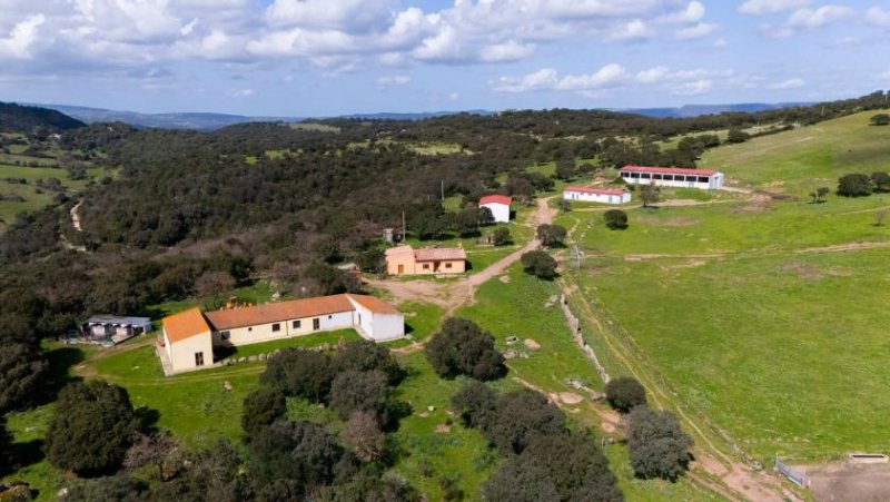 Alghero Großer Bauernhof mit 123 Hektar Land Haus kaufen