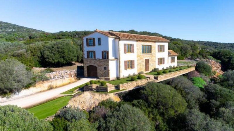 Sassari 90000 m² Weinberge, Olivenhain und Bauland! Grundstück kaufen