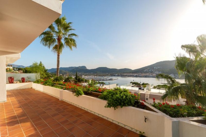 Andratx / Port d'Andratx Wohnung mit Renovierungspotenzial und Meerblick in Port d'Andratx Wohnung kaufen