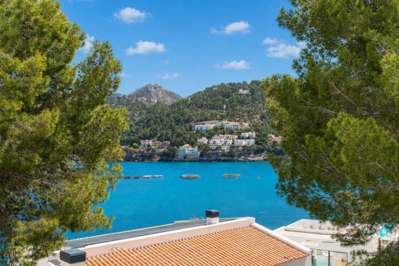 Port D'Andratx Mediterraner Wohntraum: Luxuriöses Meerblick-Reihenhaus in Port d'Andratx Haus kaufen