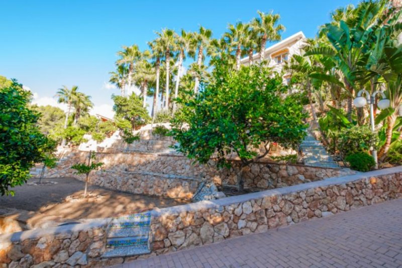 Calvià / Peguera Beeindruckende mediterrane Villa in Paguera Haus kaufen
