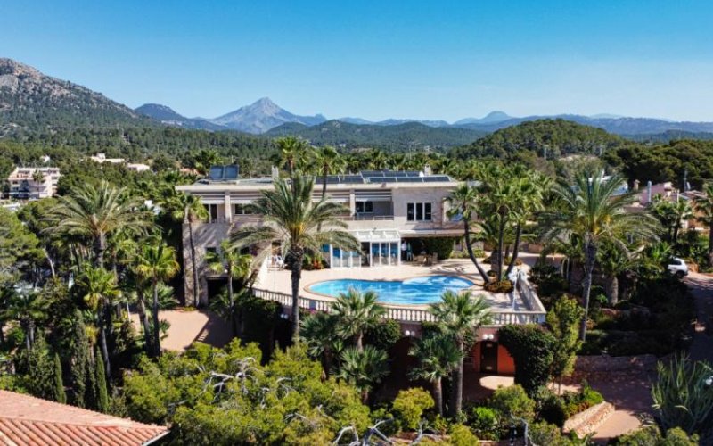 Calvià / Peguera Exklusive, großzügige Villa in Paguera mit Meerblick – inklusive Ferienvermietungslizenz Haus kaufen