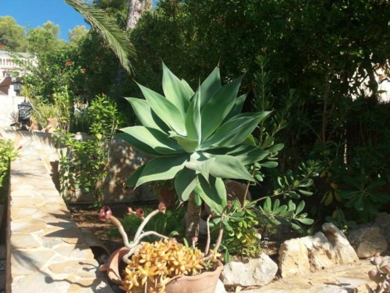 Calvià / Peguera Freistehendes Chalet mit Blick auf die Bucht von Paguera Haus kaufen