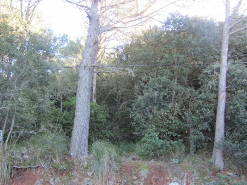 Valdemossa Baugrundstück mit Projekt und Meerblick zu verkaufen Grundstück kaufen