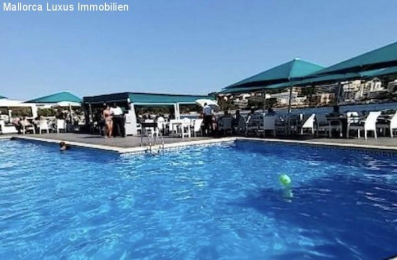 Santa Ponsa sehr gepflegtes Apartment in Santa Ponsa zu verkaufen erste Meereslinie Wohnung kaufen