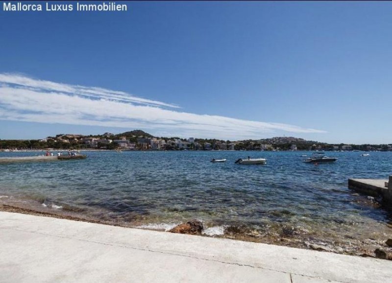 Santa Ponsa sehr gepflegtes Apartment in Santa Ponsa zu verkaufen erste Meereslinie Wohnung kaufen