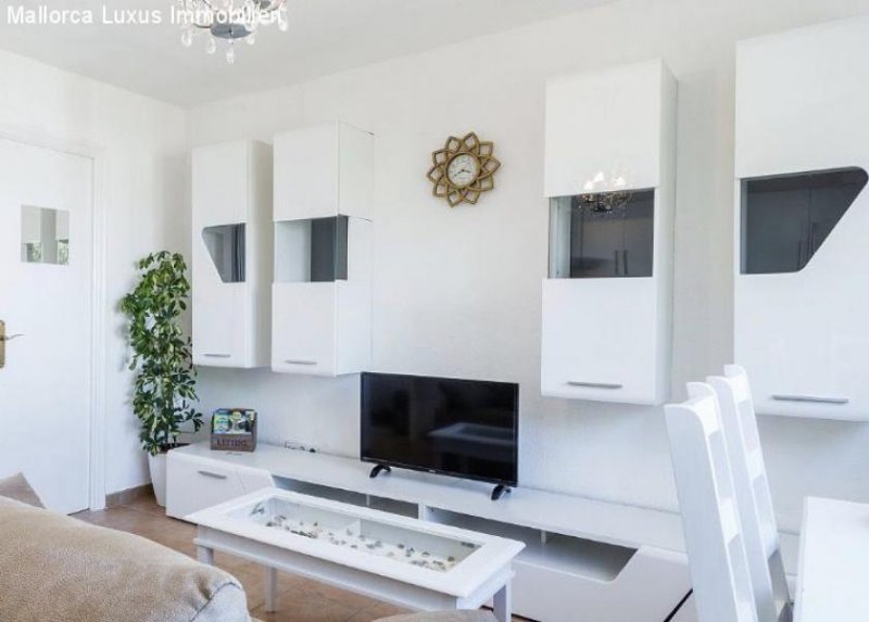 Santa Ponsa sehr gepflegtes Apartment in Santa Ponsa zu verkaufen erste Meereslinie Wohnung kaufen