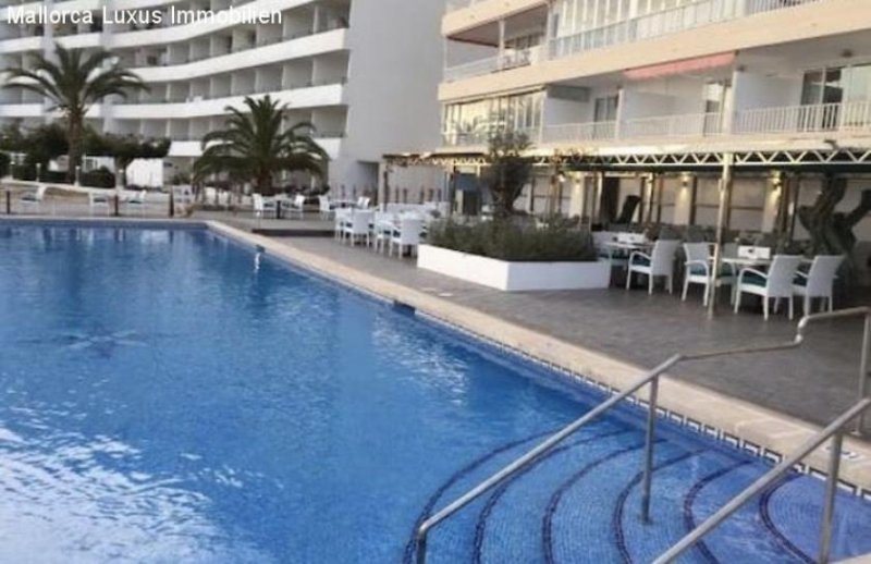 Santa Ponsa sehr gepflegtes Apartment in Santa Ponsa zu verkaufen erste Meereslinie Wohnung kaufen