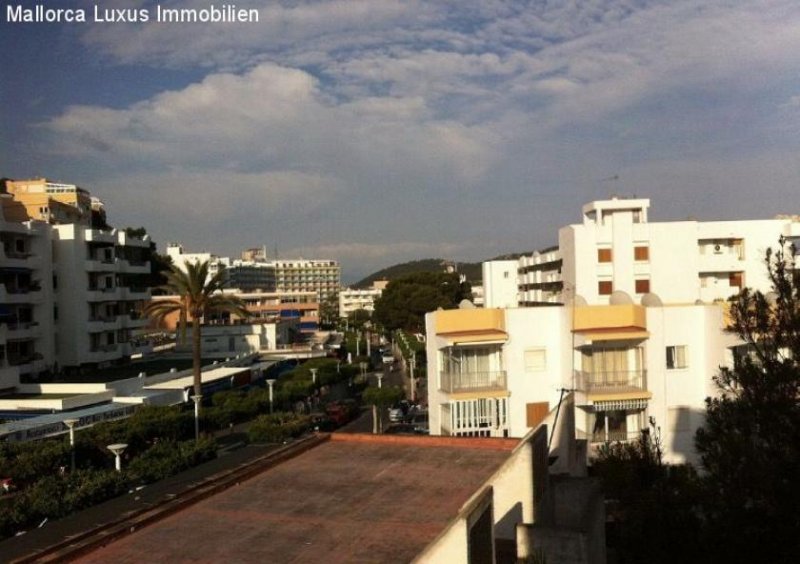 Santa Ponsa sehr gepflegtes Apartment in Santa Ponsa zu verkaufen erste Meereslinie Wohnung kaufen