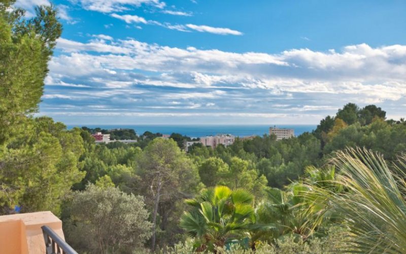 Calvià / Costa d'en Blanes Investitionsobjekt: Villa mit Meerblick, Gästeapartment und großem Garten in Costa den Blanes Haus kaufen