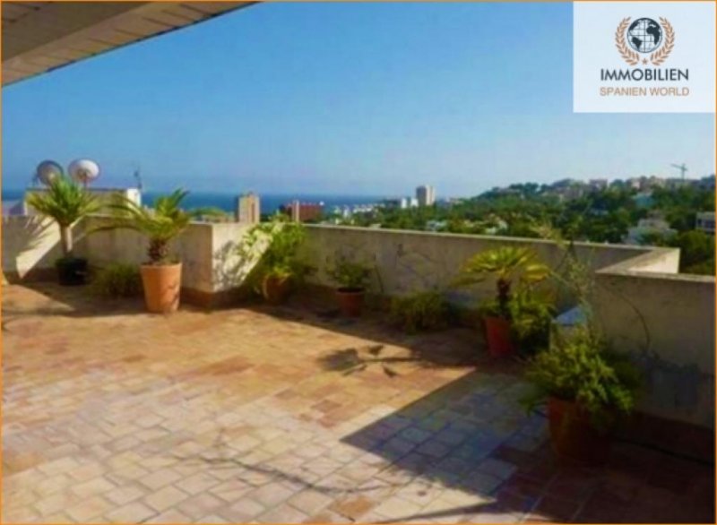 Calvià / Illetes Penthouse mit Terrasse in Calvia, Cas Catala Wohnung kaufen