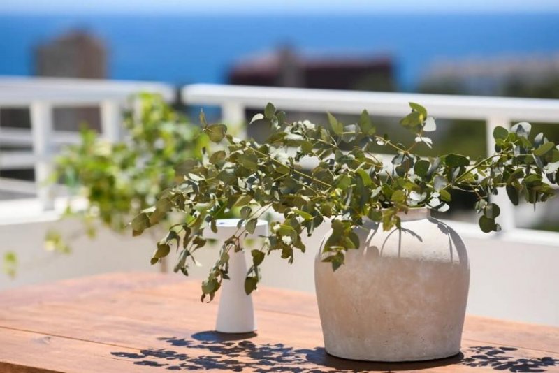 Cas Catala Ankommen, durchatmen, Meerblick genießen: Stilvolles Penthouse mit Panoramaausblick Wohnung kaufen