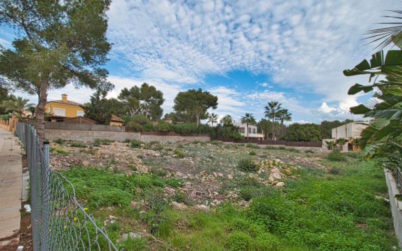 Sol De Mallorca Attraktives Baugrundstück mit Meerblick-Potenzial in Sol de Mallorca Grundstück kaufen