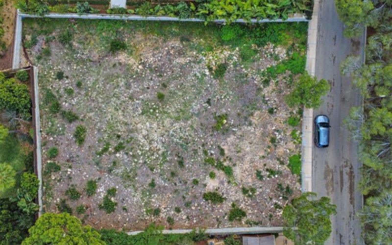 Sol De Mallorca Attraktives Baugrundstück mit Meerblick-Potenzial in Sol de Mallorca Grundstück kaufen