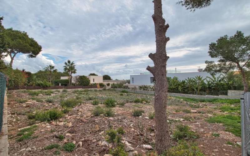 Sol De Mallorca Attraktives Baugrundstück mit Meerblick-Potenzial in Sol de Mallorca Grundstück kaufen