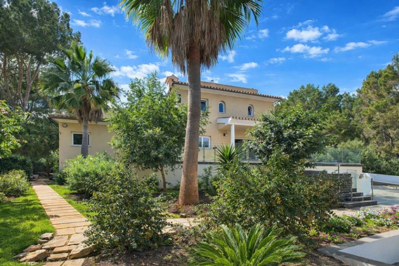 Sol De Mallorca Mediterranes Wohnparadies: Villa mit Pool und großem Garten in Sol de Mallorca Haus kaufen