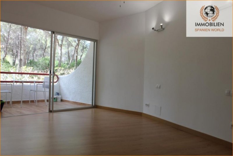 Calvià / Costa de la Calma EINZIMMERWOHNUNG AM MEER IN COSTA DE LA CALMA! Wohnung kaufen