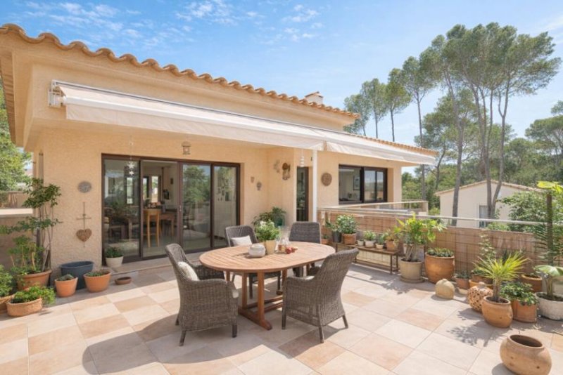 Calvià / Costa de la Calma Mallorca pur: Exklusive Villa mit Pool, Teilmeerblick & Südwest-Terrasse in Costa de la Calma Haus kaufen