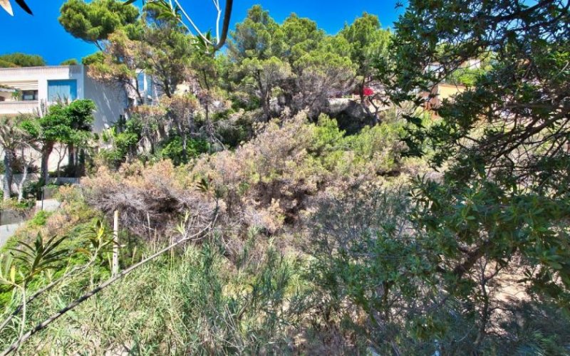 Calvià / Costa de la Calma Sonniges Premium-Baugrundstück in Costa de la Calma – 1.638 m² für Ihre Traumvilla Grundstück kaufen