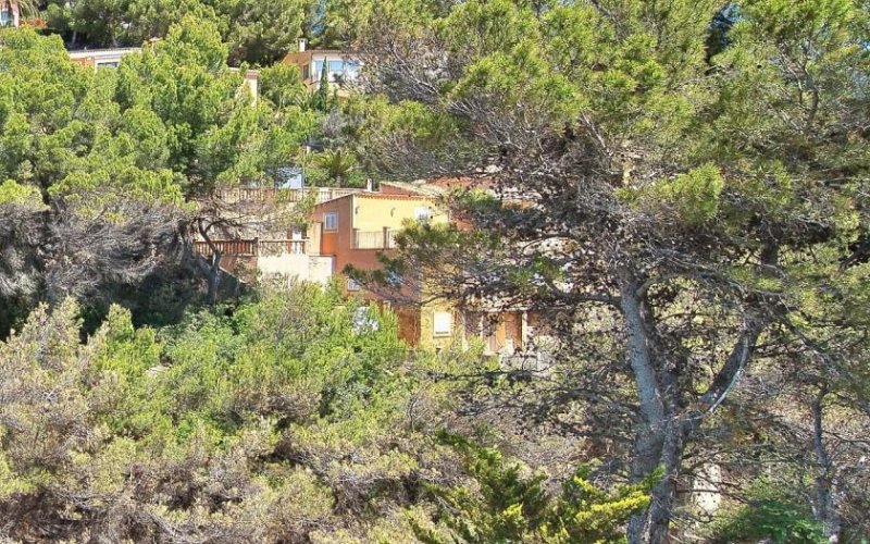 Calvià / Costa de la Calma Sonniges Premium-Baugrundstück in Costa de la Calma – 1.638 m² für Ihre Traumvilla Grundstück kaufen