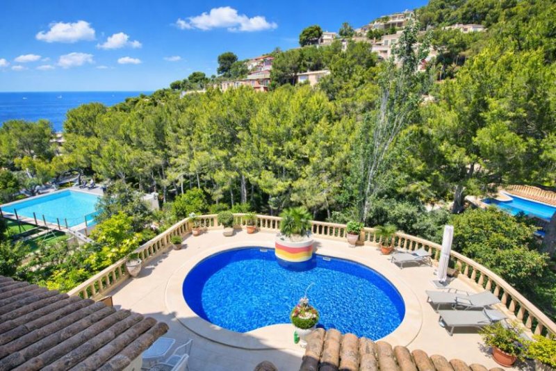 Calvià / Costa de la Calma Zwischen Himmel, Pool und Meer – elegante Villa in ruhiger Lage von Costa de la Calma Haus kaufen