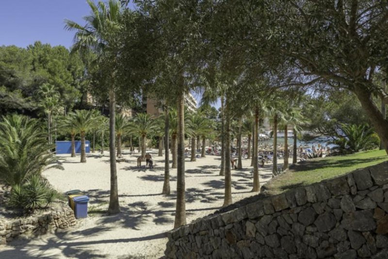 Calvià / Cala Vinyes Moderne Villa direkt am Strand in Cala Vinyes!
Mit Ferienlizenz! Investment! Haus kaufen