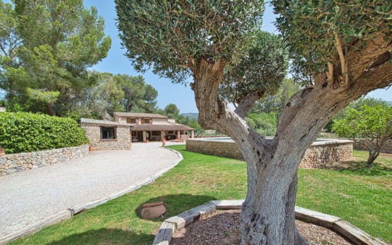 Calvia Ein Ort zum Ankommen: Stilvolle Finca mit Pool und Gästehaus nahe Calvià Haus kaufen
