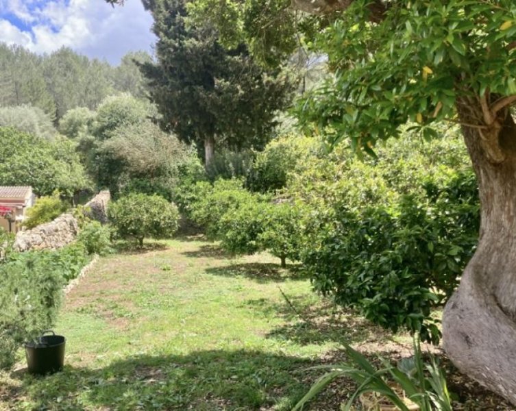 Puigpunyent Idyllische Villa mit Wald, Garten und Pool im Herzen von Puigpunyent Haus kaufen