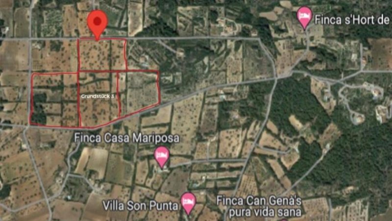 Felanitx Da hüpft das Herz! Paradiesisches Baugrundstück - Nähe Felanitx in Son Proenç Grundstück kaufen
