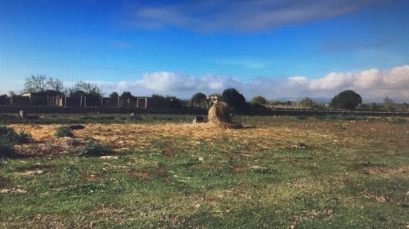 Felanitx FELANITX!!! Großes Baugrundstück Grundstück kaufen