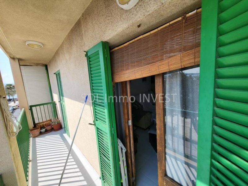 Alcúdia Helle 2 Zimmer Wohnung in der ERSTEN Meereslinie! Wohnung kaufen