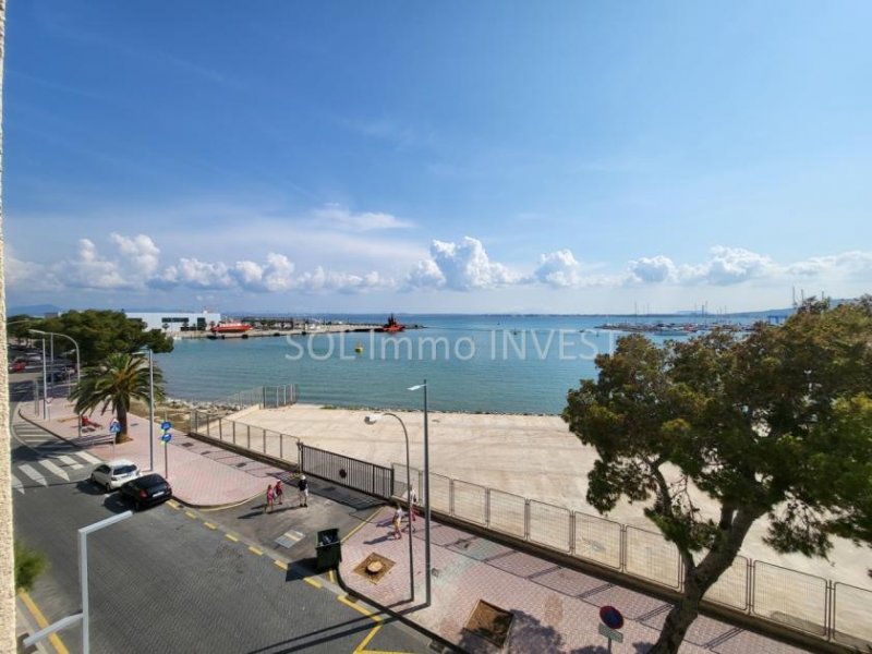 Alcúdia Helle 2 Zimmer Wohnung in der ERSTEN Meereslinie! Wohnung kaufen