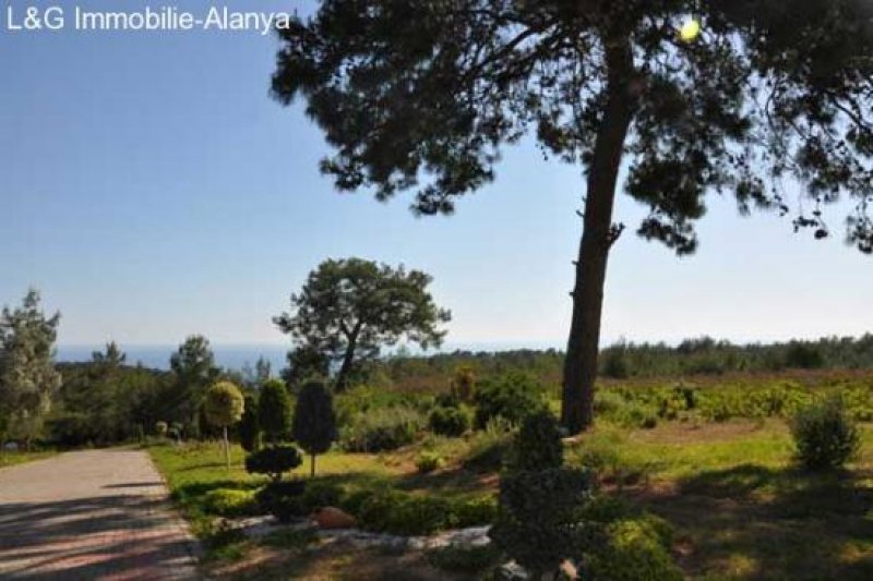 Antalya, Alanya Avsallar Traumhafter Villenpark in Alanya Avsallar, Luxus und Eleganz ein Einklang mit der Natur. Haus kaufen