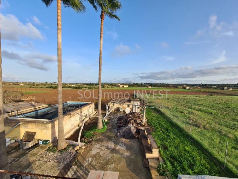 Muro Eine Finca als Projekt Haus kaufen