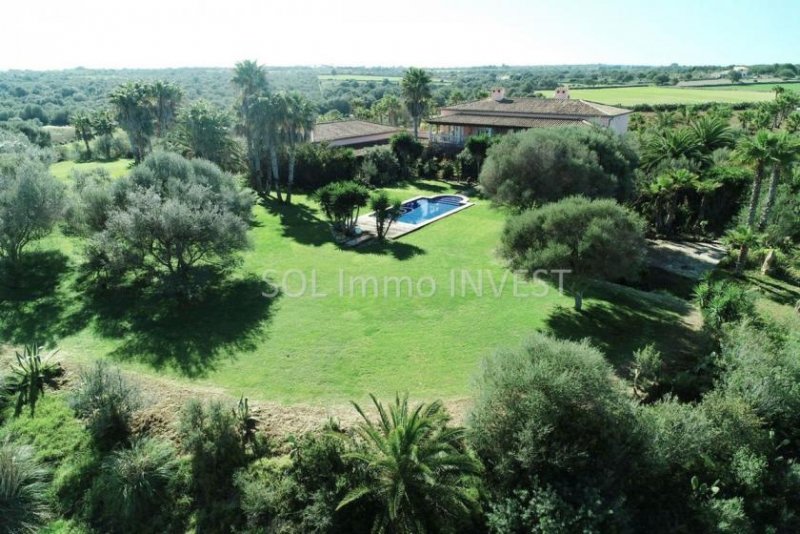 Santa Margalida Traum-Finca in einzigartiger Lage Haus kaufen