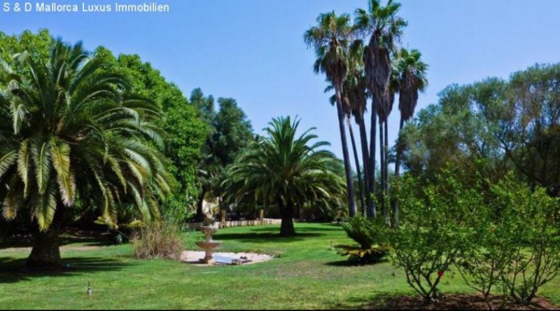 Can Picafort Ein Anwesen mit 4 Sternen im mallorquinischen Landhausstil im Herzen der Insel Gewerbe kaufen