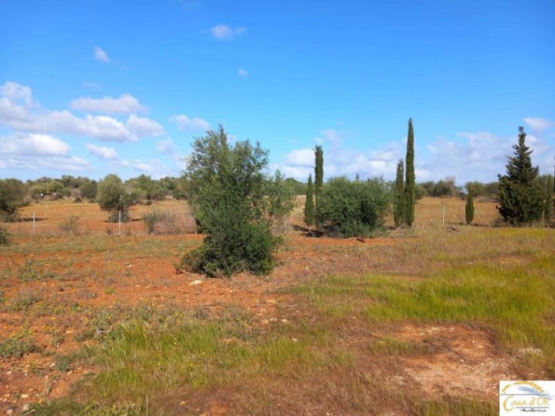 Manacor Moderne Luxusfinca mit individuellem Ausbaupotenzial auf 24.416 m² Privatgrundstück in Mallorca Haus kaufen