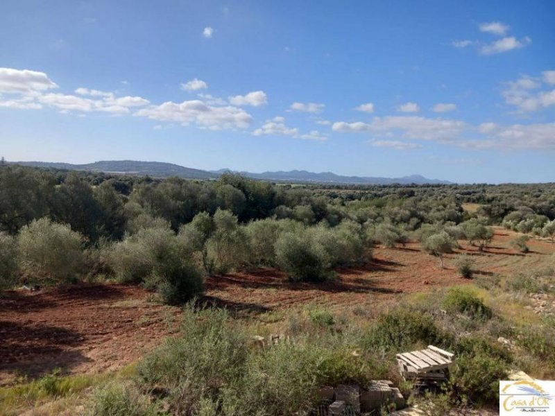 Manacor Moderne Luxusfinca mit individuellem Ausbaupotenzial auf 24.416 m² Privatgrundstück in Mallorca Haus kaufen