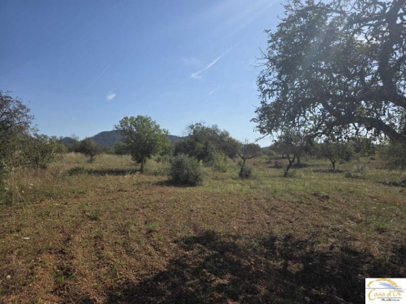 Sant Llorenç des Cardassar Exklusives Baugrundstück mit mediterraner Ruhe und Weitblick nahe Sant Llorenç des Cardassar Grundstück kaufen
