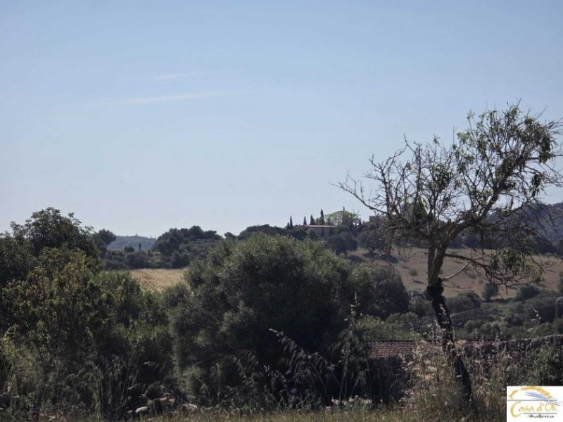 Sant Llorenç des Cardassar Exklusives Baugrundstück mit mediterraner Ruhe und Weitblick nahe Sant Llorenç des Cardassar Grundstück kaufen