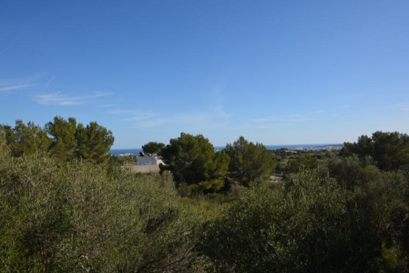 Son Servera Die herrliche Bucht von Cala Millor immer im Blick Grundstück kaufen