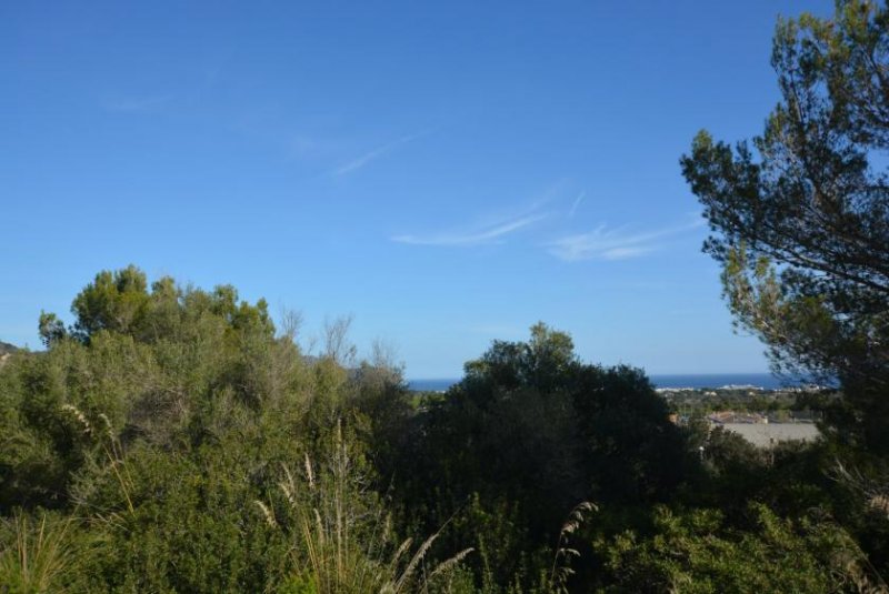 Son Servera Die herrliche Bucht von Cala Millor immer im Blick Grundstück kaufen