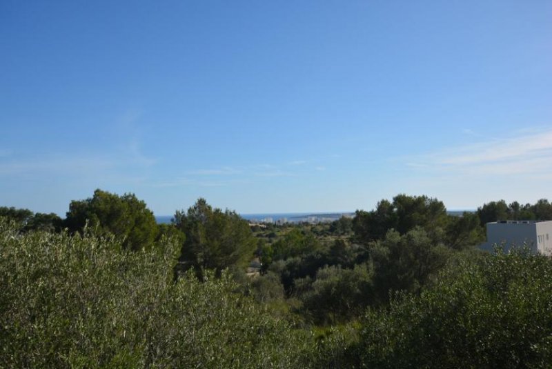 Son Servera Die herrliche Bucht von Cala Millor immer im Blick Grundstück kaufen